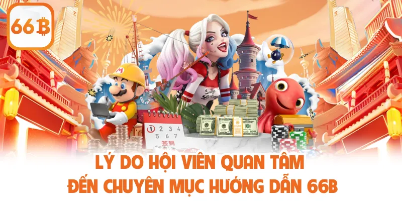 Lý do hội viên quan tâm đến chuyên mục hướng dẫn 66B